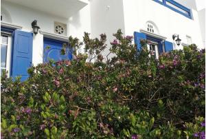 Nostos Beachfront Apartments & Studios Tinos Greece