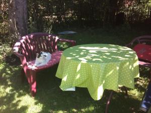 Neueröffnung, 2 wunderschöne Ferienwohnungen im Grünen