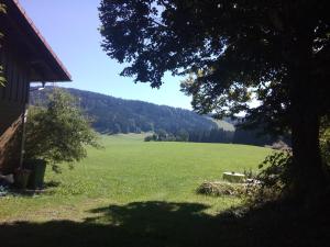 Neueröffnung, 2 wunderschöne Ferienwohnungen im Grünen