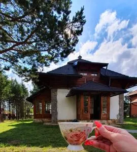 Vila Panić Zlatibor - Dobroselica