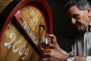 Casa nel vigneto con vista mare img3