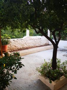 Christina's Home Arkadia Greece