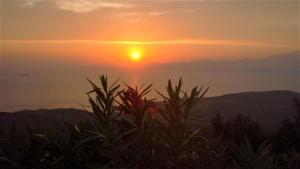 GOLDEN CAPE COTTAgE Andros Greece