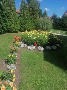 Božović MV Apartments