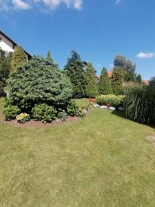 Božović MV Apartments