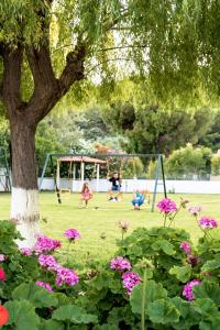 Almira Hotel Skiathos Greece
