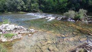 River house "Green butterfly"