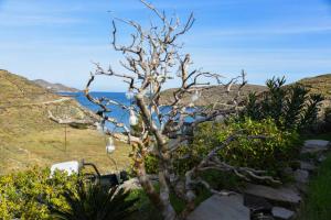 Villa Niloya Kythnos