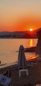 Artemis Hotel Evia Greece