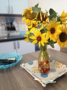 Villa Regina Accommodation