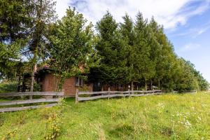 Agroturystyka u Julii