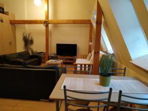 Sunlit Loft Apartment Riga