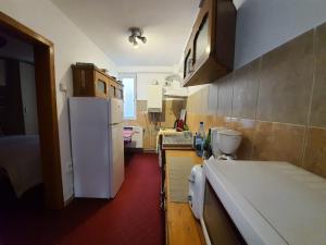 Tudor View Apartament