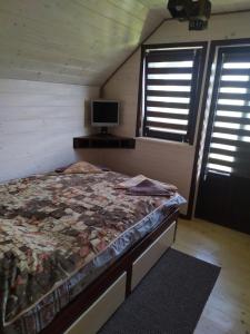 Карпатська мрія