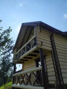 Карпатська мрія - Zelena