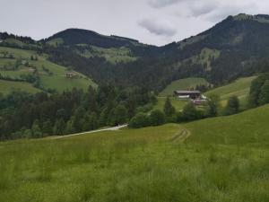 Appartements Alpenblick Söll