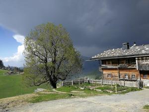 Appartements Alpenblick Söll