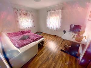 ambiente solutions apartments