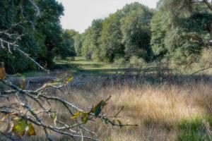 Hotels Chateau de Tresse : photos des chambres