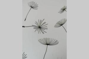 Ferienwohnung Pusteblume Müddersheim Vettweiß