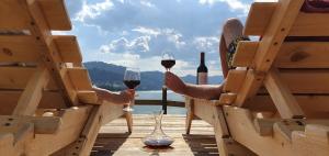 Casa Gabriela - langa lac