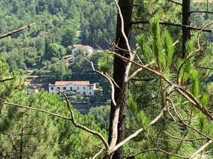 Le Manoir au Soleil photo 6