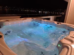 Luxury Apartments Silva with sea view