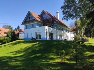 Lipno Riviéra - Myši v botě