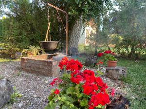 Kis Veréb Körösparti Házikó