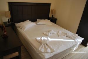 Spider House Aparthotel