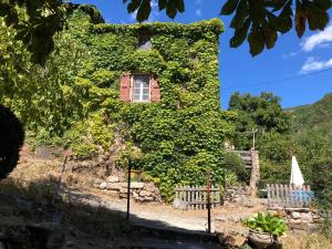 Maisons de vacances La Calade de Craysoules : photos des chambres