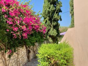 Modern Villa in Arkadi Greece with Private Pool Rethymno Greece