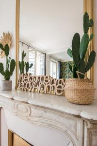 2 BR Appartement Near Tour Eiffel & Trocadéro