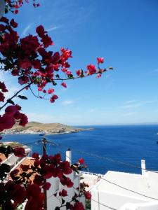 Meltemi Kea Greece