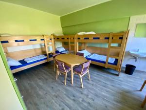 Bunk Bed in Mixed Dormitory Room room in Quartier am Haff