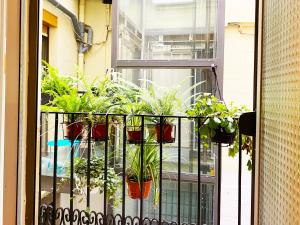 hostal portugal