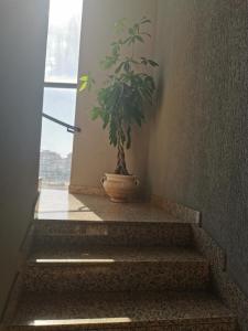 Penthouse-Apartment
