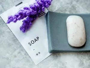 Lavande Hotel (Nanchang Qingshan Lake High-tech Branch) - Poyang