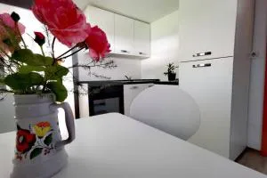 Apartma Sašo - Žaga