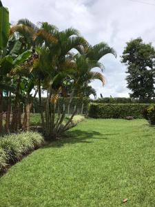 Finca VillaDiana- Montenegro Pueblotapao