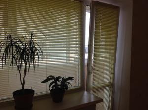 Квартира-студия