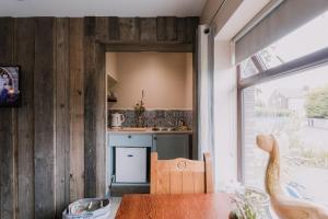 Seagulls Nest Northern Ireland