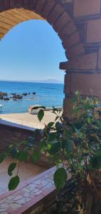 Halikoura Beach Apartments