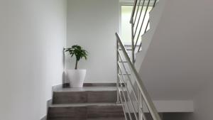 Apartmani Šalković