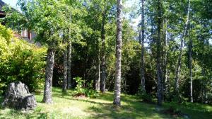 Casa Arboleda de Lican Ray