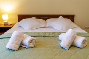 Apartament Family Rivulus 8