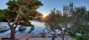 Apartment Grubišić