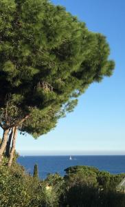 Chambres dhôtes VUE MER Mer à 2 min à pied