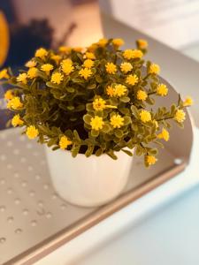 B&B Villino Margherita