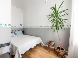 City center apartments